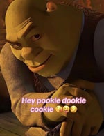 but pookie Not here kitten whiskers