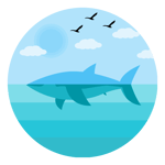 Shark In The Water - V V Brown