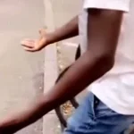 don't even need to speak french to feel his pain