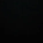 aidotearz_2009 - Slowed