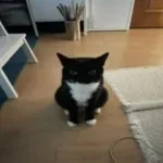 (start)MONTAGEM FURIA Super Slowed