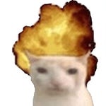 you'll cowards don't even smoke crack