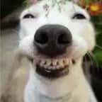 SW hes reaching (copy)