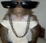 Jon Z X Ñengo Flow Vas a Querer Volver (Audio) - Sound