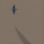 Flying loot bug