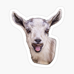 Goat Scream meme