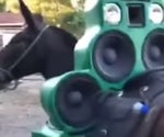 Mamahuevoooo (BASS BOSTED)