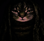 (22) Homeless Zimbawae dont use this