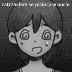 zatrszasłem se pisiora w aucie