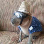 tep1 #sleazydsaworldgo #oldpeople #tiktok