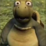 ik what your thinking