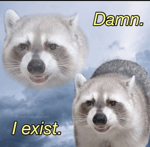 Who are you to accuse me?!