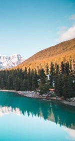 Jebo li ti kupus mater