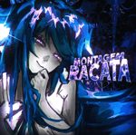 Montagem racata
