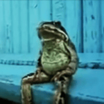 franzj sippin lean in the preschool bathroom