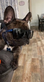 Fred Flinstone Scrambling Sound Effect - Sound