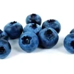 pipipipipipipipipipipipipipipi