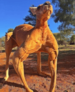 PUT THE STILL WATER DOWN!!!