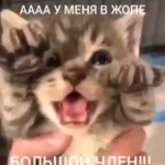 bliat-khuem-po-lbu-ne-dalo