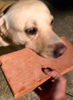 Ma Meilleure Ennemie, Stromae, Pomme, Arcane S2