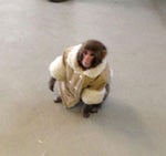 lips of an angel hinder (guitar cover)