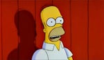 Homer Simpson : The Simpsons Rip off