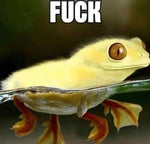 「 Devil Eyes ZODIVK Song EDIT」 「Q」 Calliope Mori x Gawr Gura - Sound