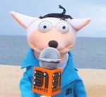 31 minutos Mario Hugo sin pasaje