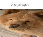 u smell like you farted