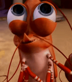 True Story Shrimp