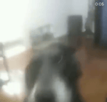 I got Black I got White