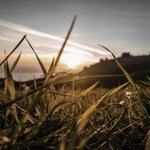 all the girls are girling