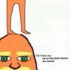 let it grow earape (copy)