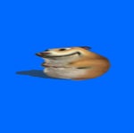 HAPPY CHOMIK'S FAV SONG