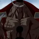 The One Piece Is REAL