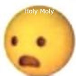 holy moly surprised emoji meme sound