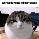 Everybody wants to be my enemy