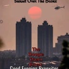 living in the bronx that bronx life