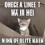 Hi there, I'm Ones! I
