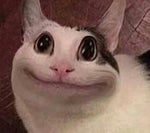 סתום תפה כבר - Sound