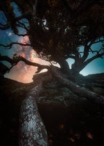 The Ultimate Insult May God Have Mercy On Your Soul Billy Madis