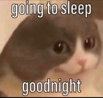 Franc Košir pijem rad in dobro jem