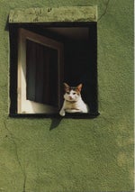 let's see cute chairs together made with Voicemod technology