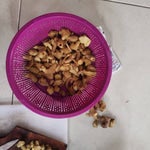 Kobo Aku Kapan Di Notice Bang Dari Kemarin Zeta Mulu Mediashare