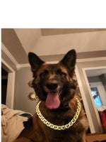 nothings new by rio romeo