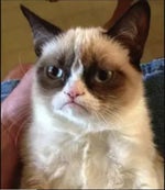 Elektronomia Sky High [NCS Release]