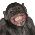 Man Screaming CEEDAY Sound Effect (HD)