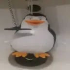 penguin very emotional