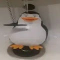 penguin very emotional