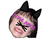 Sara is a cat